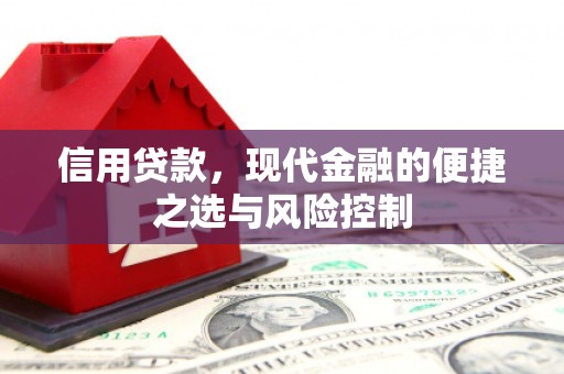 八宿信用贷款，现代金融的便捷之选与风险控制