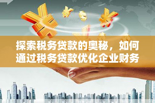 八宿探索税务贷款的奥秘，如何通过税务贷款优化企业财务