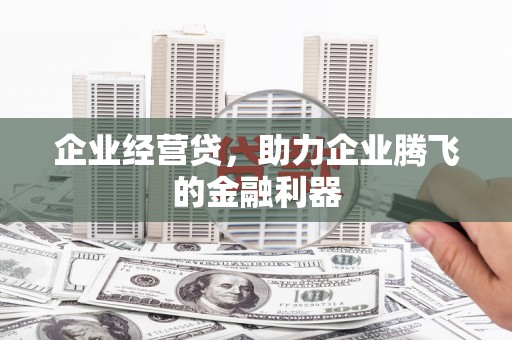 八宿企业经营贷，助力企业腾飞的金融利器