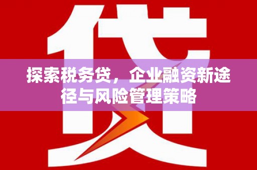 八宿探索税务贷，企业融资新途径与风险管理策略