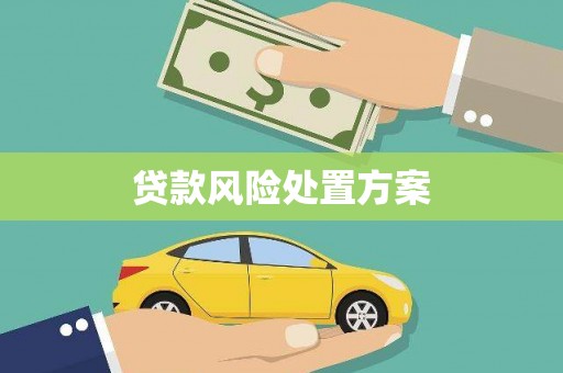 八宿贷款风险处置方案