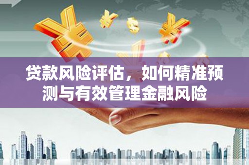 八宿贷款风险评估，如何精准预测与有效管理金融风险