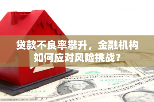 八宿贷款不良率攀升，金融机构如何应对风险挑战？
