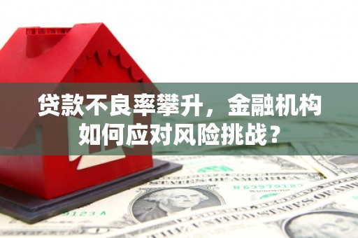 八宿贷款不良率攀升，金融机构如何应对风险挑战？