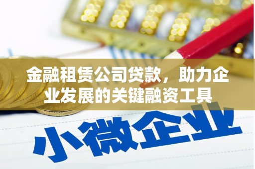 八宿金融租赁公司贷款，助力企业发展的关键融资工具