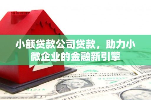 八宿小额贷款公司贷款，助力小微企业的金融新引擎