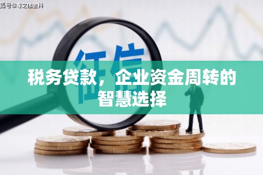 八宿税务贷款，企业资金周转的智慧选择