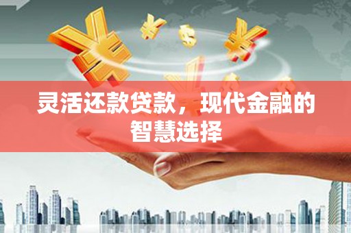 八宿灵活还款贷款，现代金融的智慧选择
