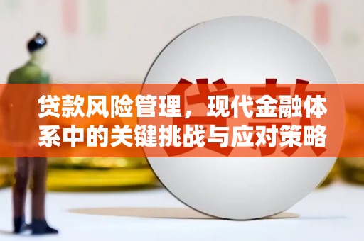 八宿贷款风险管理，现代金融体系中的关键挑战与应对策略