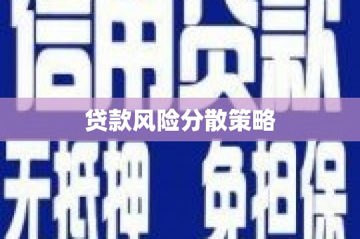 八宿贷款风险分散策略