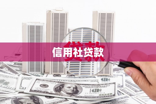 八宿信用社贷款