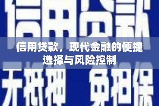 八宿信用贷款，现代金融的便捷选择与风险控制