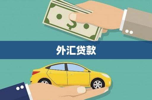 八宿外汇贷款