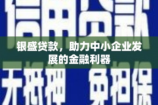 八宿银盛贷款，助力中小企业发展的金融利器