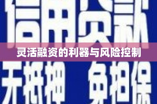 八宿灵活融资的利器与风险控制