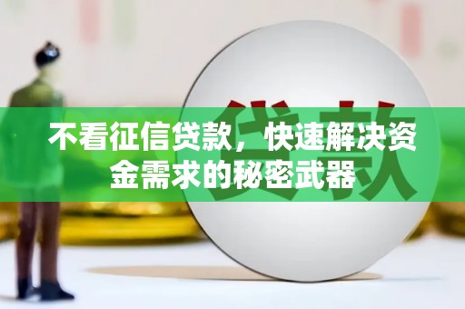 八宿不看征信贷款，快速解决资金需求的秘密武器