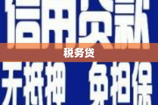 八宿税务贷