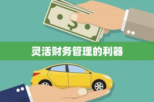 八宿灵活财务管理的利器