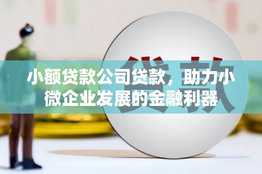 八宿小额贷款公司贷款，助力小微企业发展的金融利器