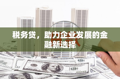 八宿税务贷，助力企业发展的金融新选择