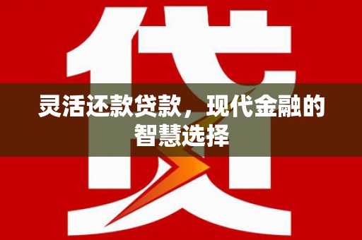 八宿灵活还款贷款，现代金融的智慧选择