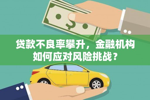 八宿贷款不良率攀升，金融机构如何应对风险挑战？