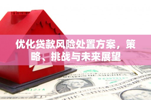 八宿优化贷款风险处置方案，策略、挑战与未来展望