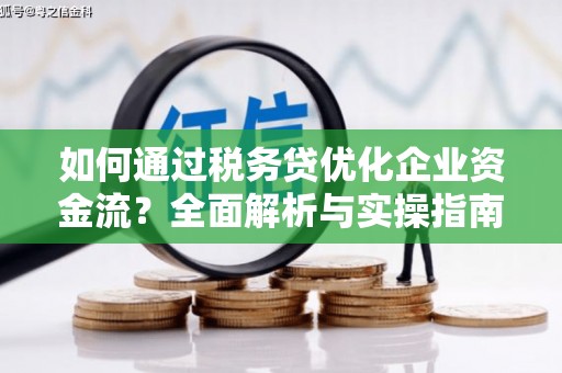 八宿如何通过税务贷优化企业资金流？全面解析与实操指南