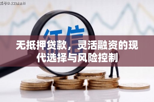 八宿无抵押贷款，灵活融资的现代选择与风险控制