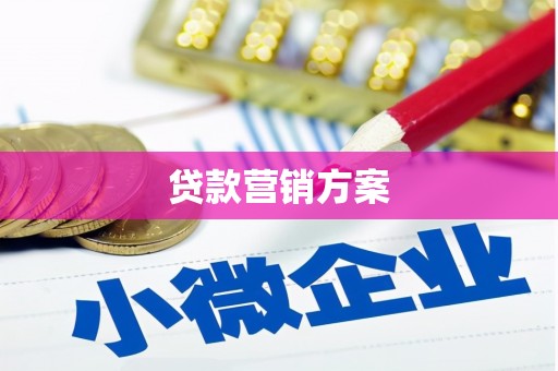 八宿贷款营销方案