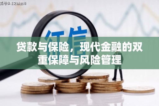 八宿贷款与保险，现代金融的双重保障与风险管理