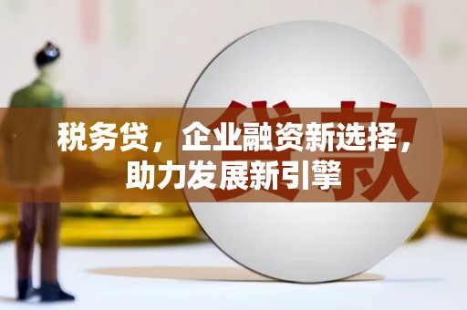 八宿税务贷，企业融资新选择，助力发展新引擎