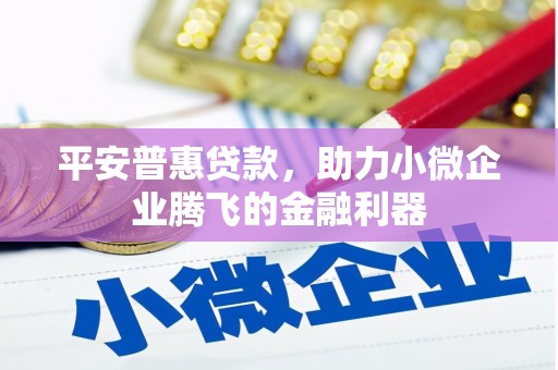 八宿平安普惠贷款，助力小微企业腾飞的金融利器