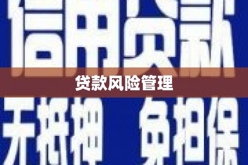 八宿贷款风险管理