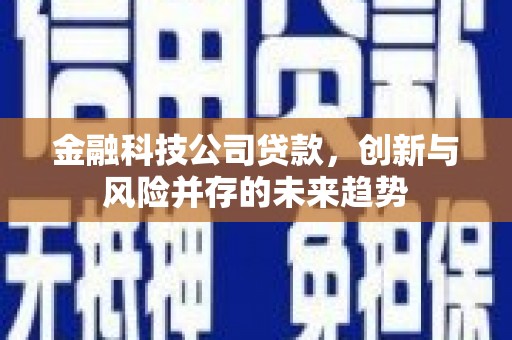 八宿金融科技公司贷款，创新与风险并存的未来趋势