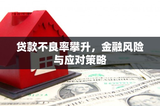 八宿贷款不良率攀升，金融风险与应对策略