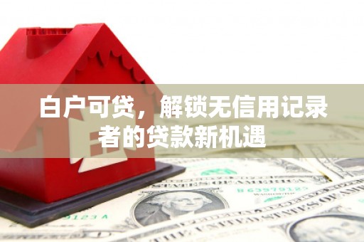 八宿白户可贷，解锁无信用记录者的贷款新机遇
