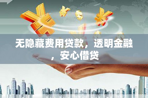 八宿无隐藏费用贷款，透明金融，安心借贷