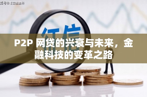 八宿P2P 网贷的兴衰与未来，金融科技的变革之路