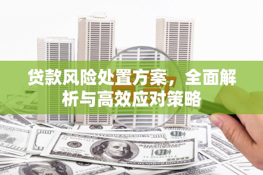 八宿贷款风险处置方案，全面解析与高效应对策略