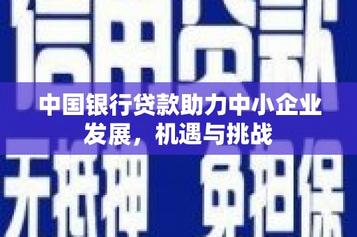 八宿中国银行贷款助力中小企业发展，机遇与挑战
