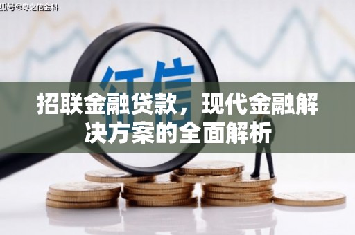 八宿招联金融贷款，现代金融解决方案的全面解析