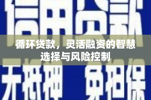 八宿循环贷款，灵活融资的智慧选择与风险控制