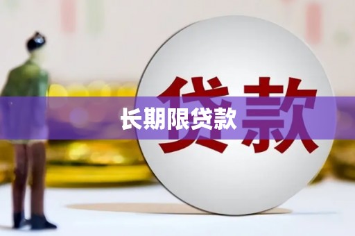 八宿长期限贷款