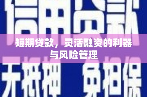 八宿短期贷款，灵活融资的利器与风险管理