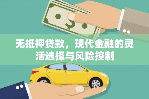 八宿无抵押贷款，现代金融的灵活选择与风险控制