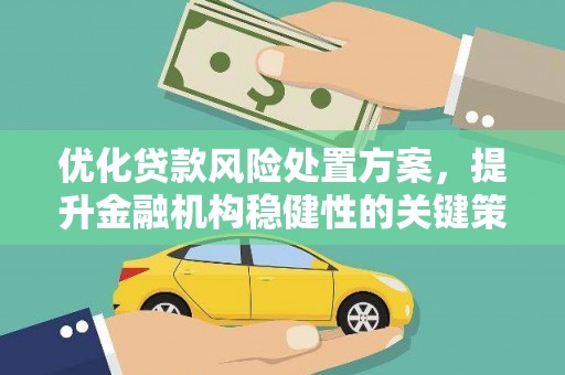 八宿优化贷款风险处置方案，提升金融机构稳健性的关键策略