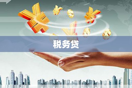八宿税务贷