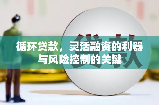 八宿循环贷款，灵活融资的利器与风险控制的关键