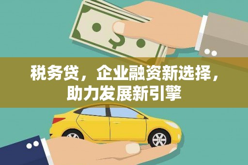 八宿税务贷，企业融资新选择，助力发展新引擎